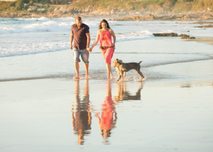 pareja paseando por playa con dos perros